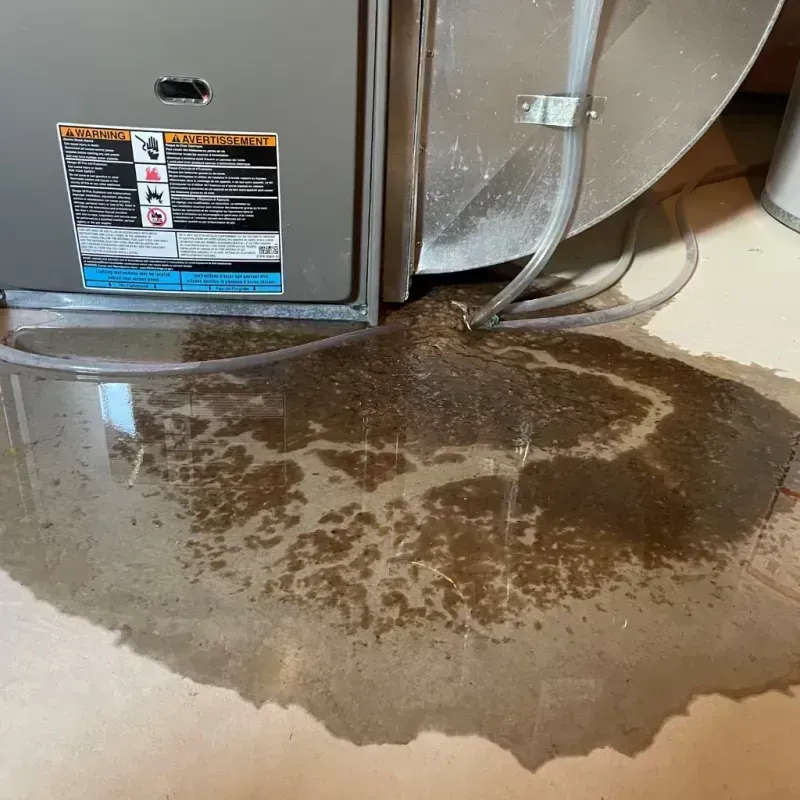 Appliance Leak Cleanup in Midland, TX